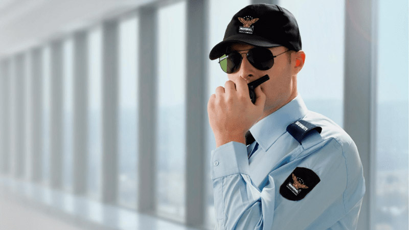 Security-800 | Ozitel Networks