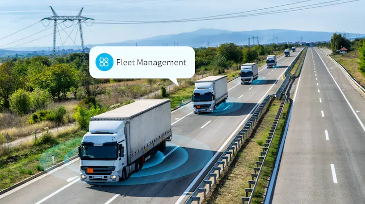 Checking-and-counting-drivers-vehicles-and-cargo Press to Talk Transport